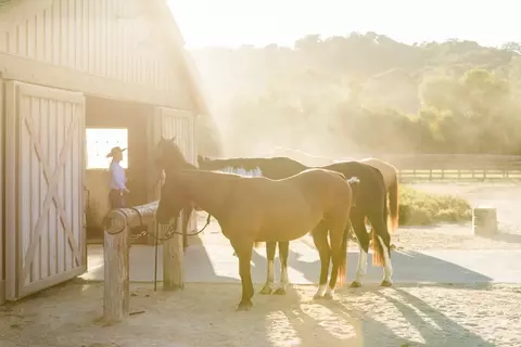 2 Corral Run, Carmel, CA 93923 photo 16