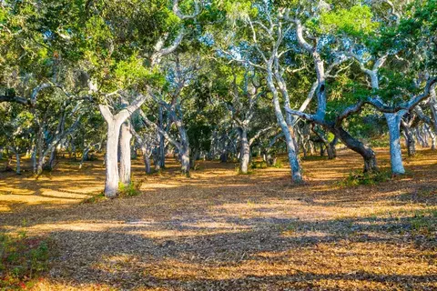 2 Corral Run, Carmel, CA 93923 photo 8