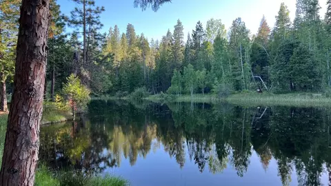 View/Area - 2624 Indian Rock Rd, Dorrington, CA 95223 photo 1 of 1