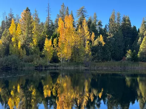 Other - 2624 Indian Rock Rd, Dorrington, CA 95223 photo 9 of 10