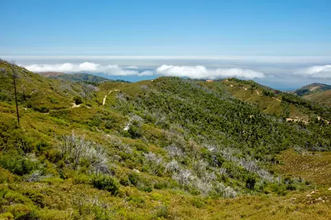 38805 Palo Colorado Rd, Carmel, CA 93923 photo 12