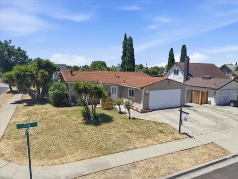 View/Area - 36493 Colbert St, Newark, CA 94560 photo 4 of 10