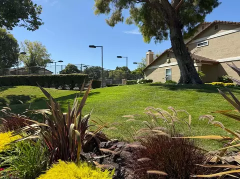 Exterior - 3101 Peppermill Cir, Pittsburg, CA 94565 photo 6 of 9