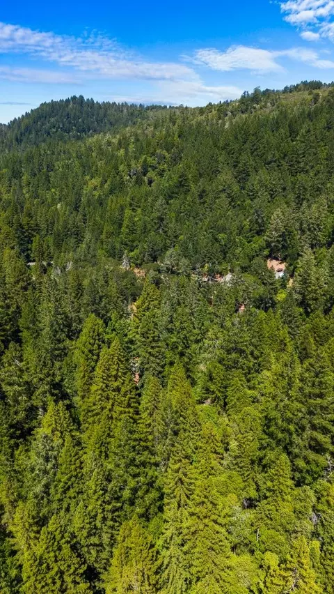 8400 Tyrone Rd, Occidental, CA 95465 photo 54