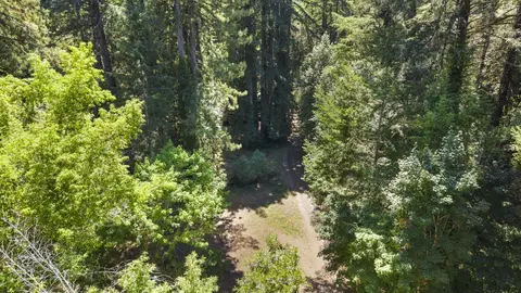 8400 Tyrone Rd, Occidental, CA 95465 photo 45