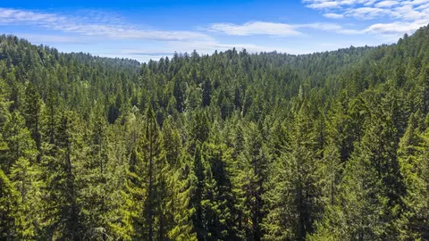 8400 Tyrone Rd, Occidental, CA 95465 photo 49