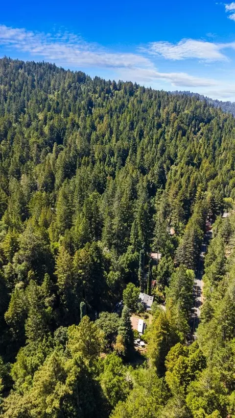 8400 Tyrone Rd, Occidental, CA 95465 photo 48