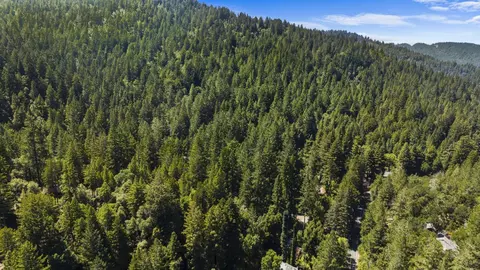 8400 Tyrone Rd, Occidental, CA 95465 photo 47