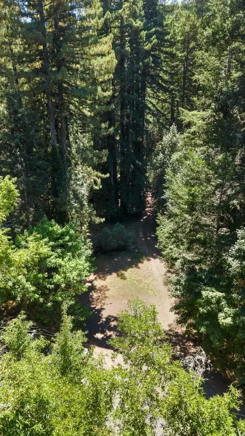 8400 Tyrone Rd, Occidental, CA 95465 photo 46