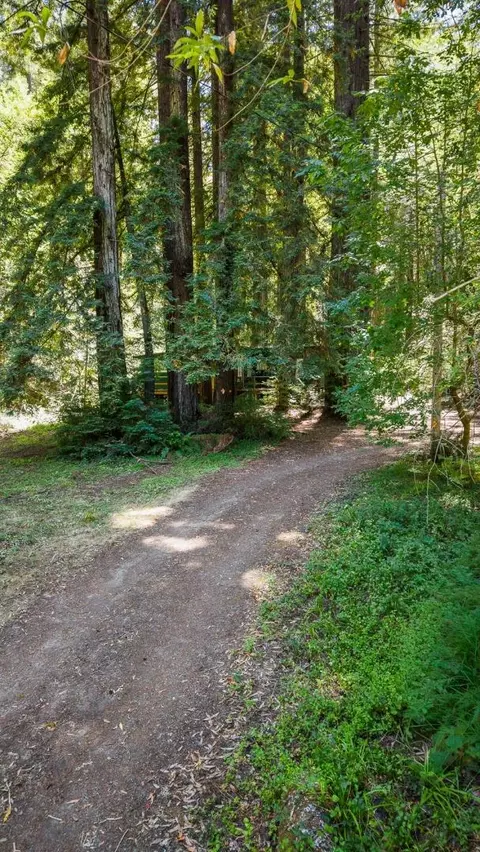 8400 Tyrone Rd, Occidental, CA 95465 photo 14