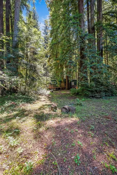 8400 Tyrone Rd, Occidental, CA 95465 photo 12