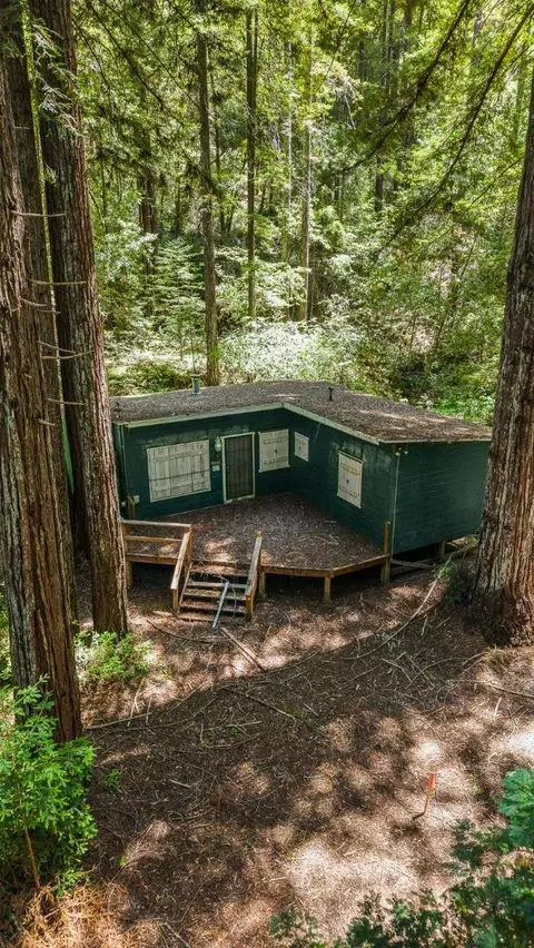 8400 Tyrone Rd, Occidental, CA 95465 photo 42