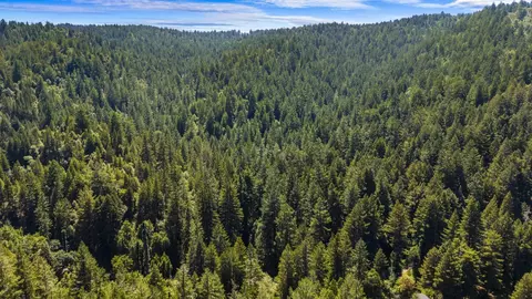 8400 Tyrone Rd, Occidental, CA 95465 photo 52