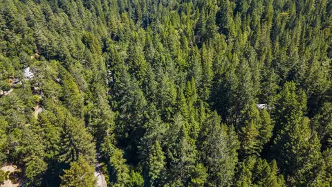 8400 Tyrone Rd, Occidental, CA 95465 photo 55