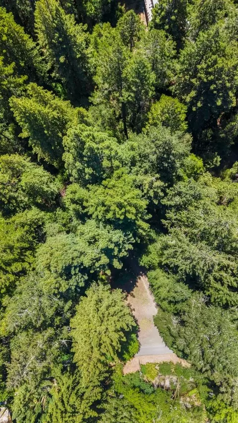8400 Tyrone Rd, Occidental, CA 95465 photo 57
