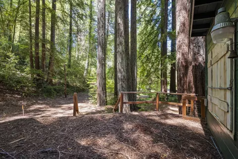 8400 Tyrone Rd, Occidental, CA 95465 photo 19
