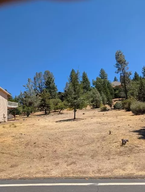773 Dogwood Dr, Murphys, CA 95247 photo 3