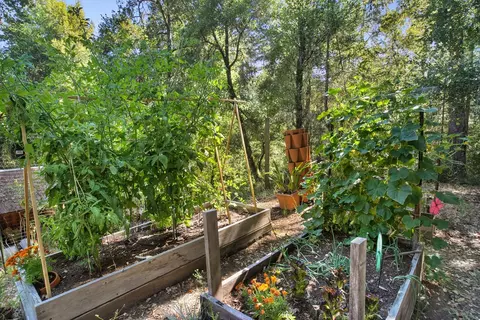 Exterior - 15 Heritage Rd, La Honda, CA 94020 photo 13 of 16