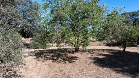 Exterior - 11705 Foothill Ave, Gilroy, CA 95020 photo 26 of 42