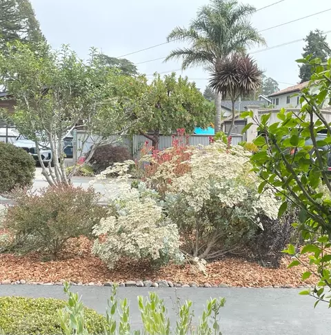 Exterior - 215 Lamanda Dr, Aptos, CA 95003 photo 5 of 10