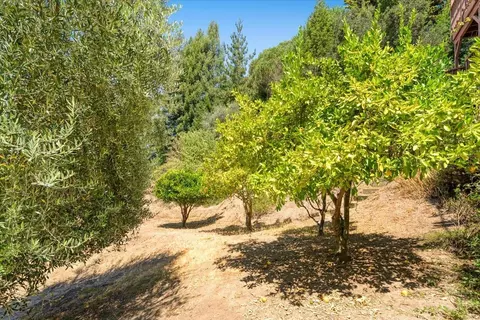 Exterior - 220 Whippet Run, Corralitos, CA 95076 photo 16 of 19