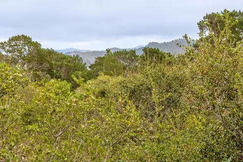 Other - 25655 Ryan Pl, Carmel, CA 93923 photo 8 of 8