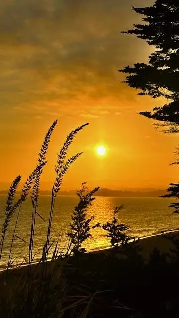 View/Area - 436 Seascape Resort Dr, Aptos, CA 95003 photo 1 of 12