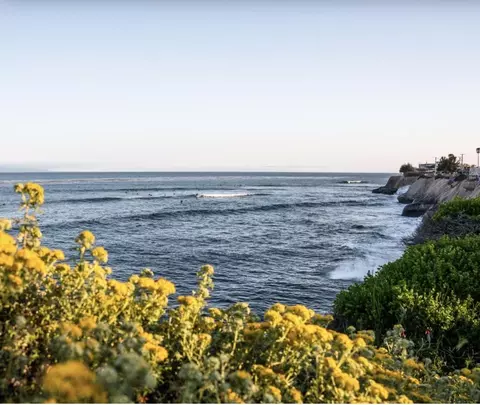View/Area - 4355 Opal Cliff Dr, Santa Cruz, CA 95062 photo 4 of 4