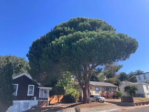 Exterior - 104 Wilson Ave, Vallejo, CA 94590 photo 1 of 5