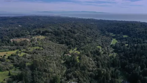 Undisclosed, Aptos, CA 95003 photo 3