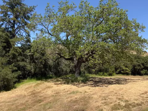 3 Ohlone Trce, Carmel, CA 93923 photo 4