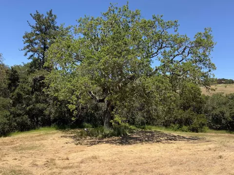 3 Ohlone Trce, Carmel, CA 93923 photo 8