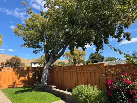Exterior - 229 Spring Valley Ln, Milpitas, CA 95035 photo 17 of 20