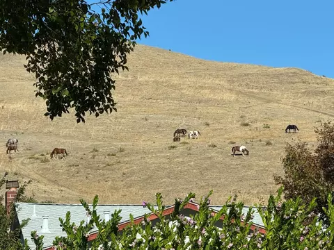 Other - 229 Spring Valley Ln, Milpitas, CA 95035 photo 4 of 20