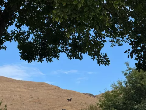 Other - 229 Spring Valley Ln, Milpitas, CA 95035 photo 17 of 20