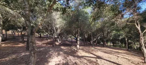 Mesa Del Toro Rd, Salinas, CA 93908 photo 7