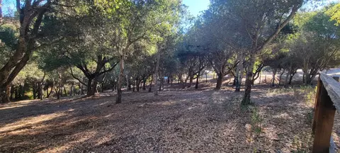 Mesa Del Toro Rd, Salinas, CA 93908 photo 16