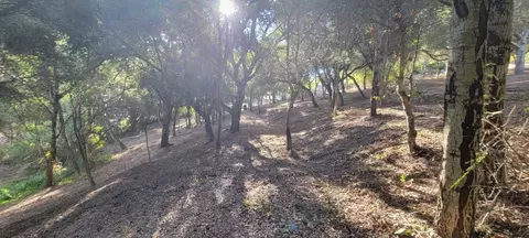 Mesa Del Toro Rd, Salinas, CA 93908 photo 13