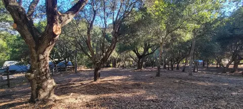 Mesa Del Toro Rd, Salinas, CA 93908 photo 17