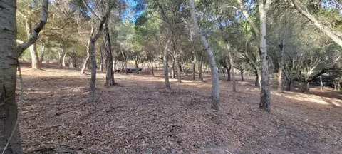 Mesa Del Toro Rd, Salinas, CA 93908 photo 9
