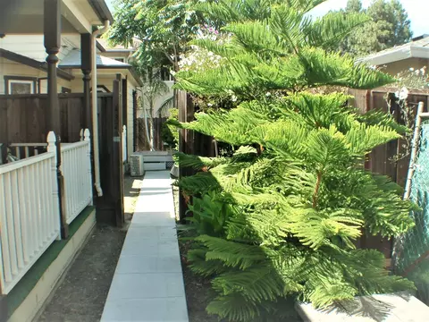 Exterior - 430-434 Franklin St, Mountain View, CA 94041 photo 5 of 7