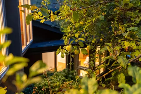 Exterior - 5300 Glen Haven Rd, Soquel, CA 95073 photo 13 of 41