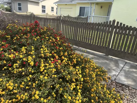 Exterior - Crescent Way, Salinas, CA 93906 photo 11 of 12