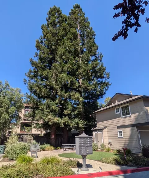 Exterior - 172 Ada Ave 10, Mountain View, CA 94043 photo 4 of 5