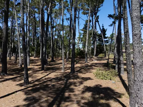 4045 Sunridge Rd, Pebble Beach, CA 93953 photo 12