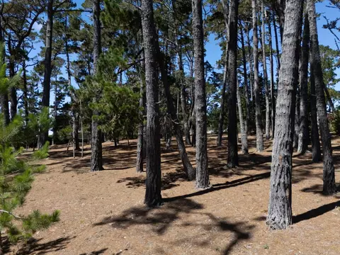 4045 Sunridge Rd, Pebble Beach, CA 93953 photo 13