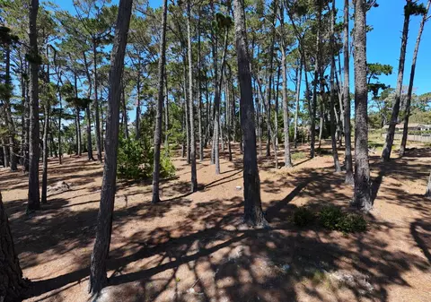 4045 Sunridge Rd, Pebble Beach, CA 93953 photo 15