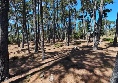 4045 Sunridge Rd, Pebble Beach, CA 93953 photo 7
