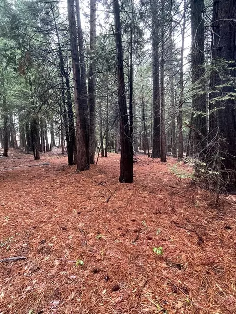 Hide Away Loop, Alta, CA 95701 photo 3