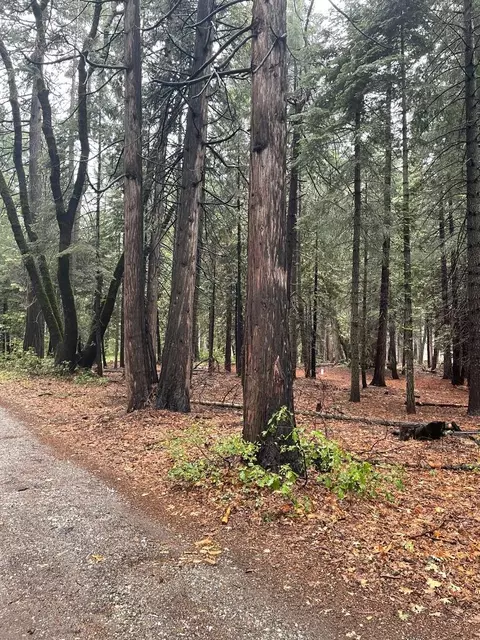 Hide Away Loop, Alta, CA 95701 photo 5